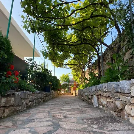 Krenar Voda Apartment *