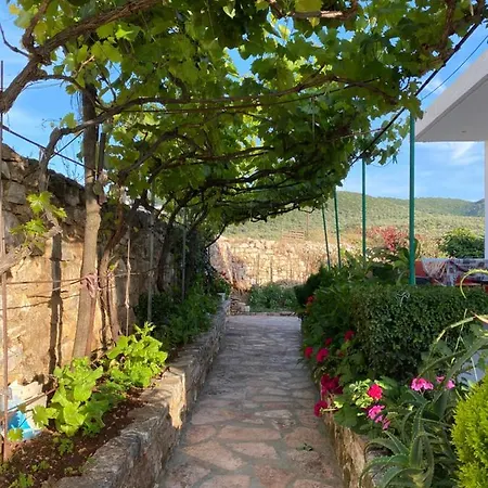 Krenar Voda * كساميل